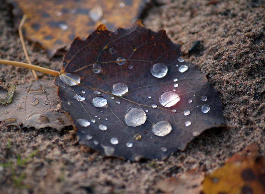 Wassertropfen