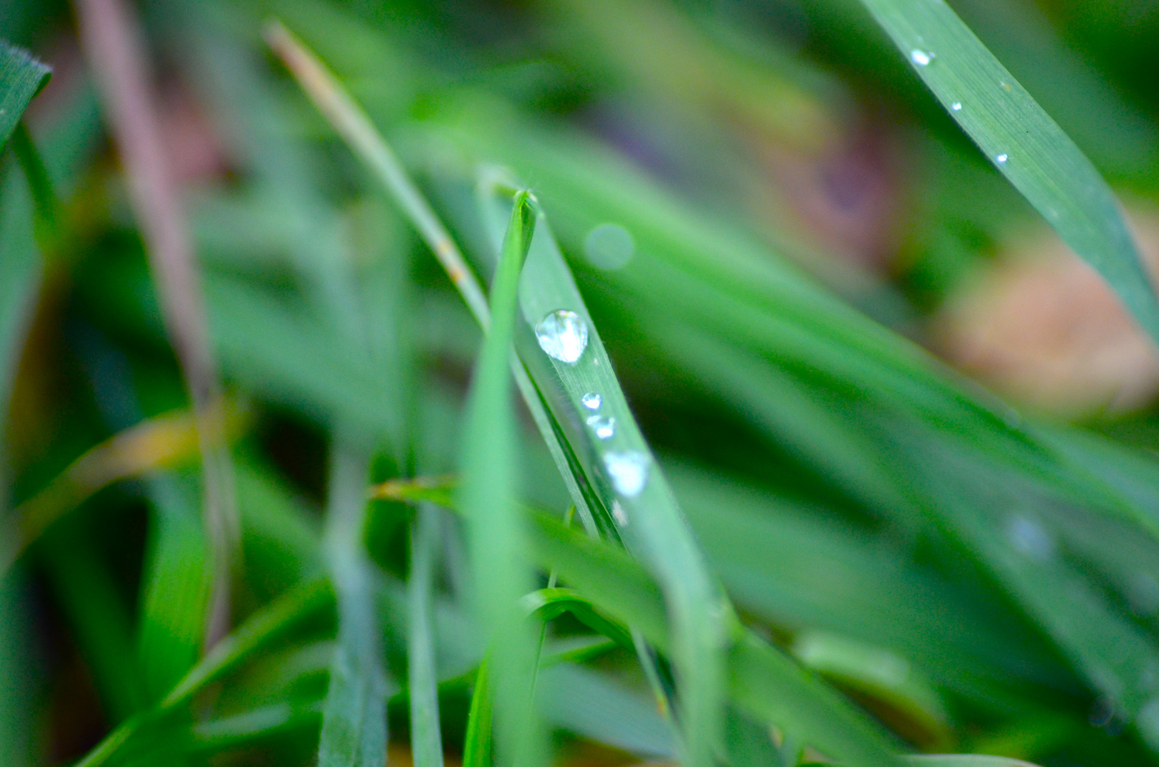 Wassertropfen