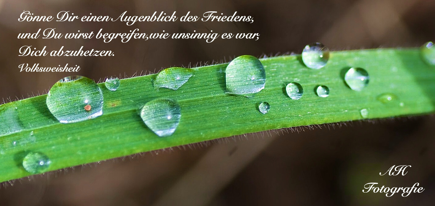 Wassertropfen Foto Bild Fotos Und Sprüche Wassertropfen