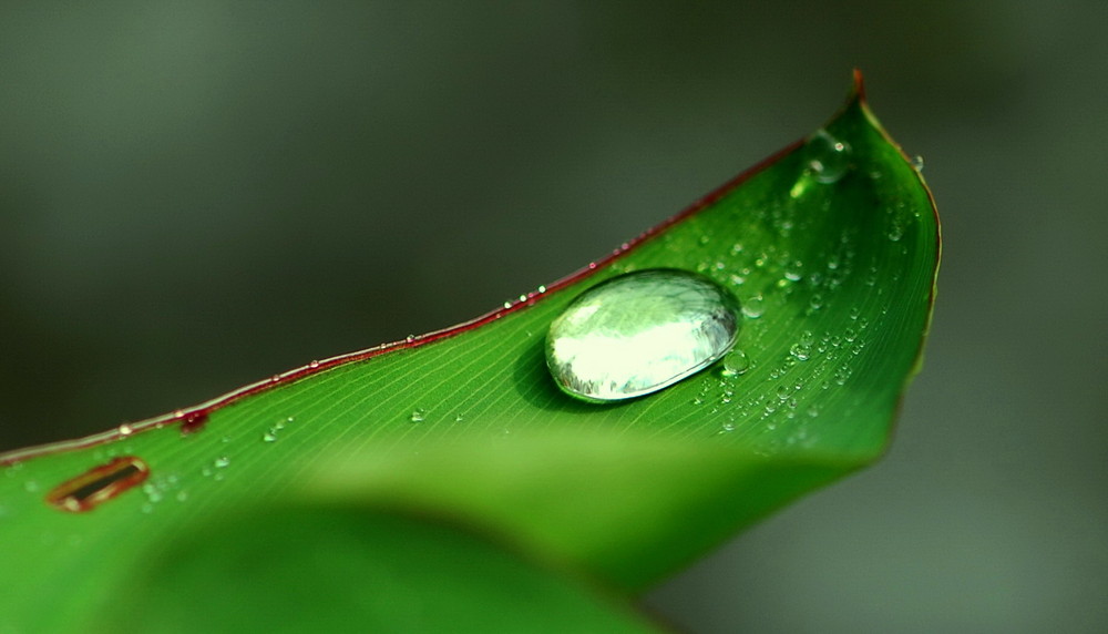 Wassertropfen