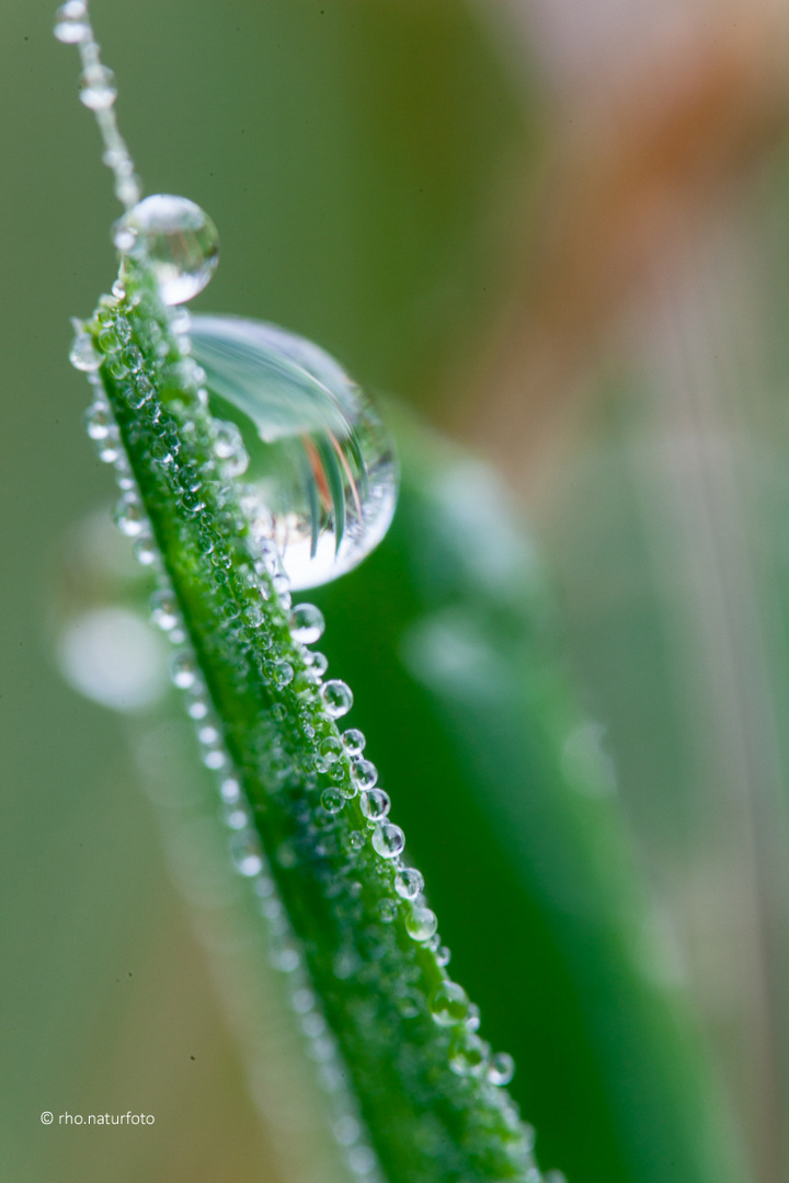 Wassertropfen