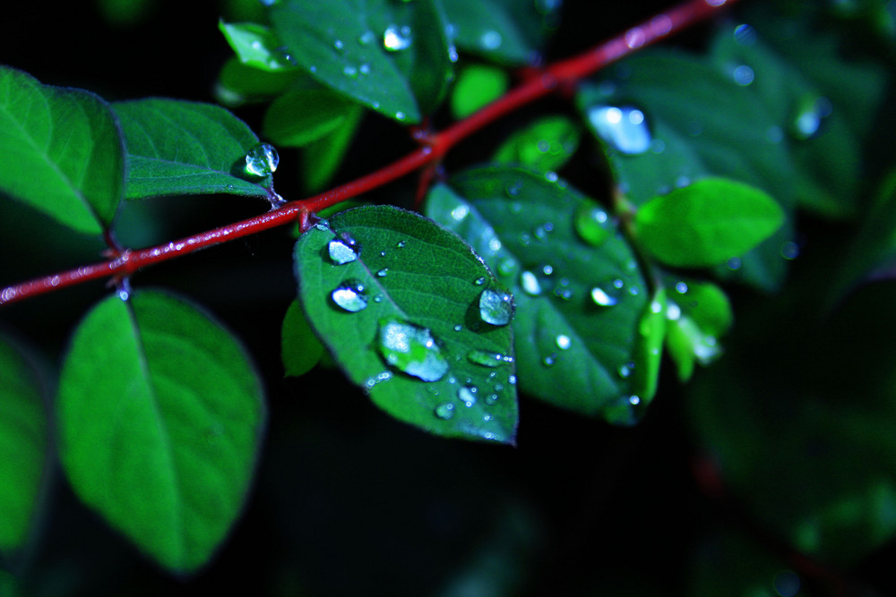 Wassertropfen