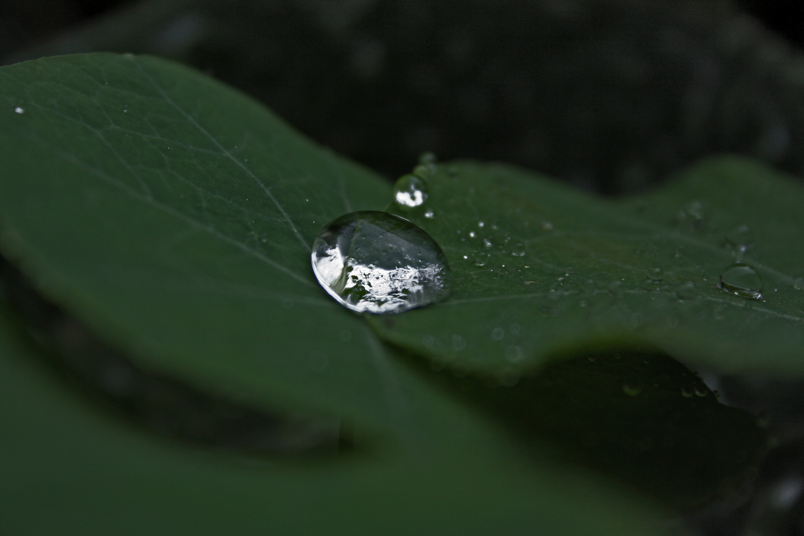 Wassertropfen