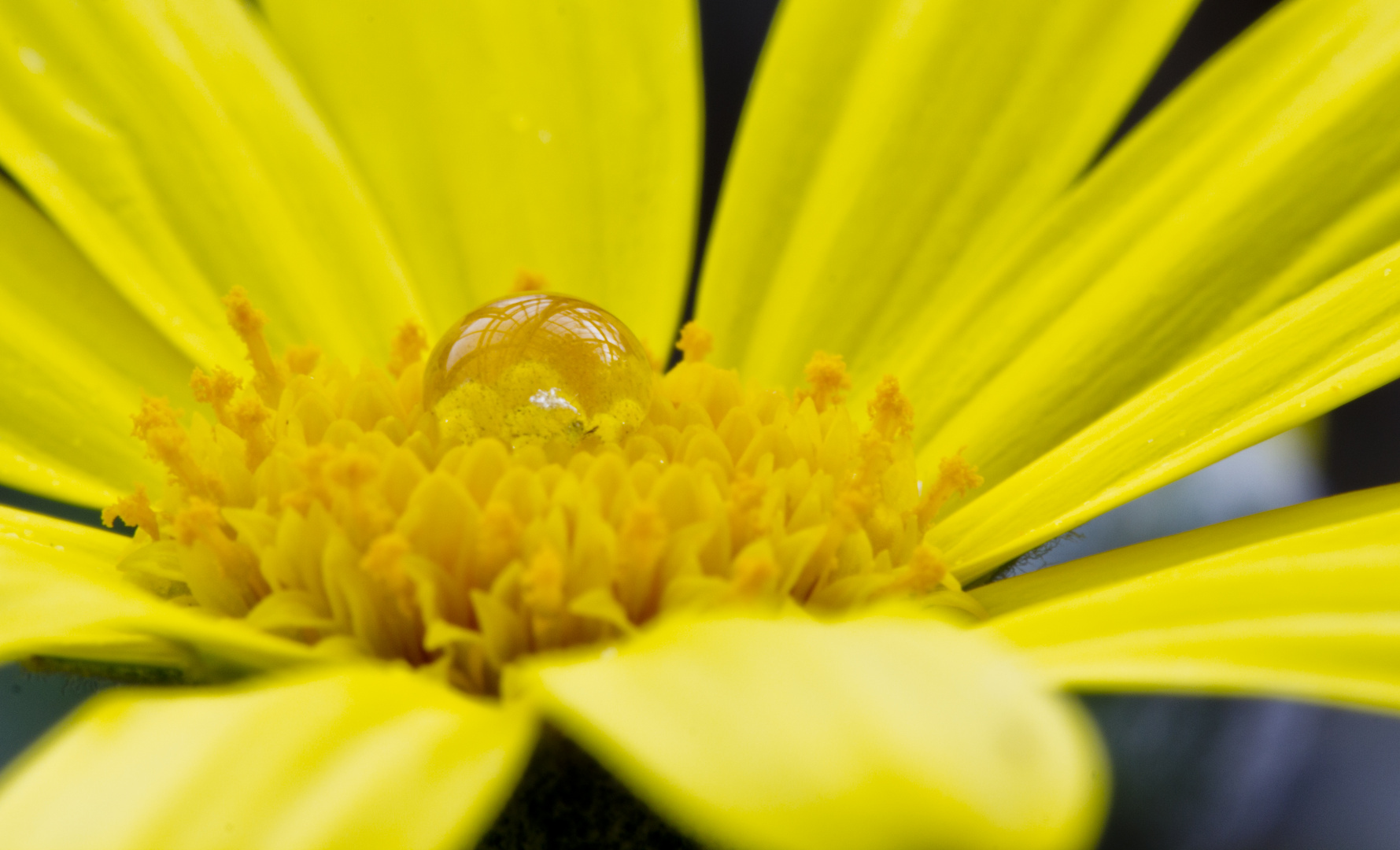 Wassertropfen