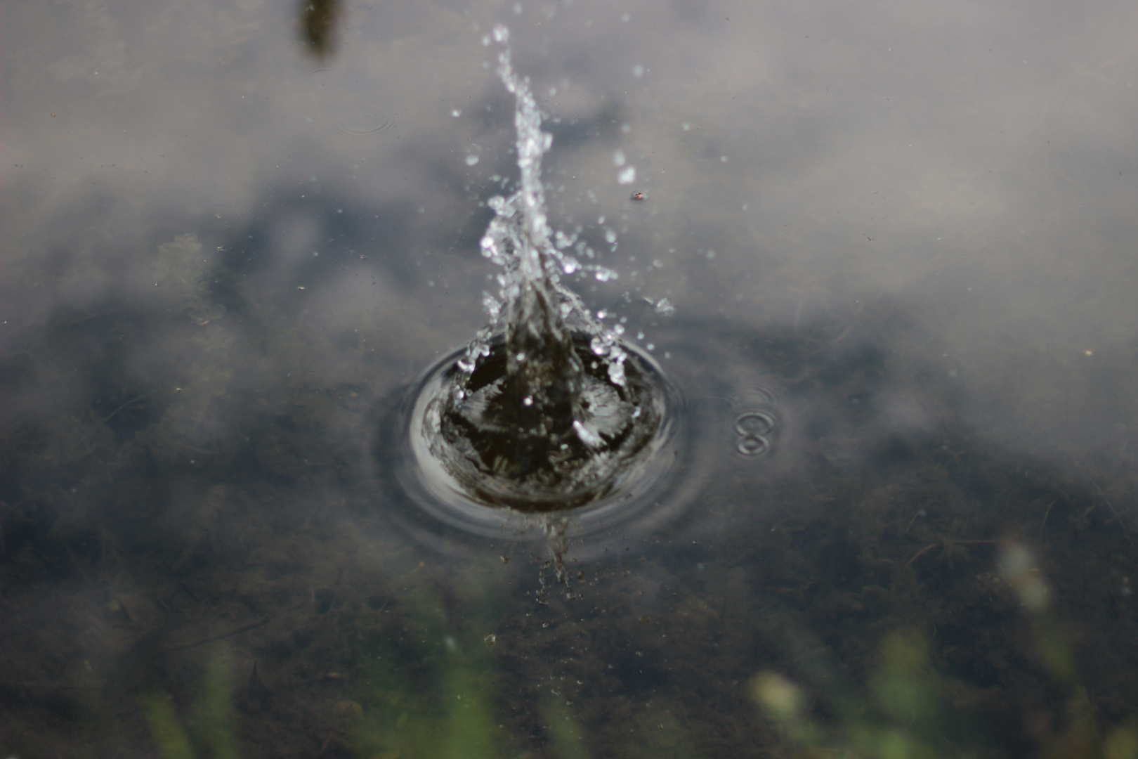 Wassertropfen