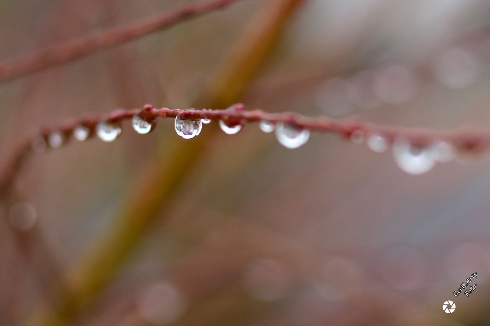 Wassertropfen ... 