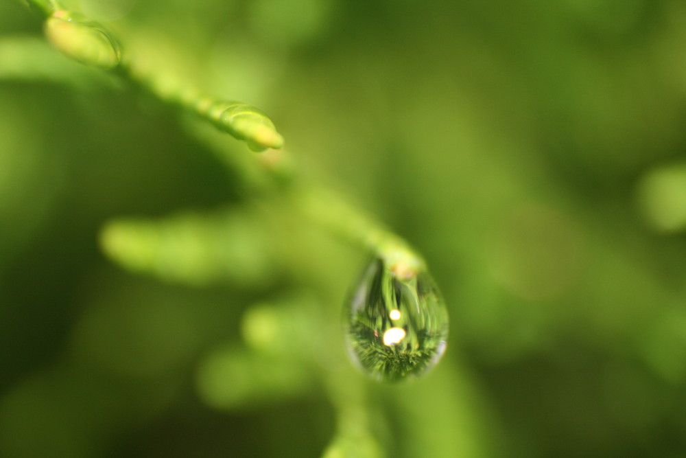 Wassertropfen