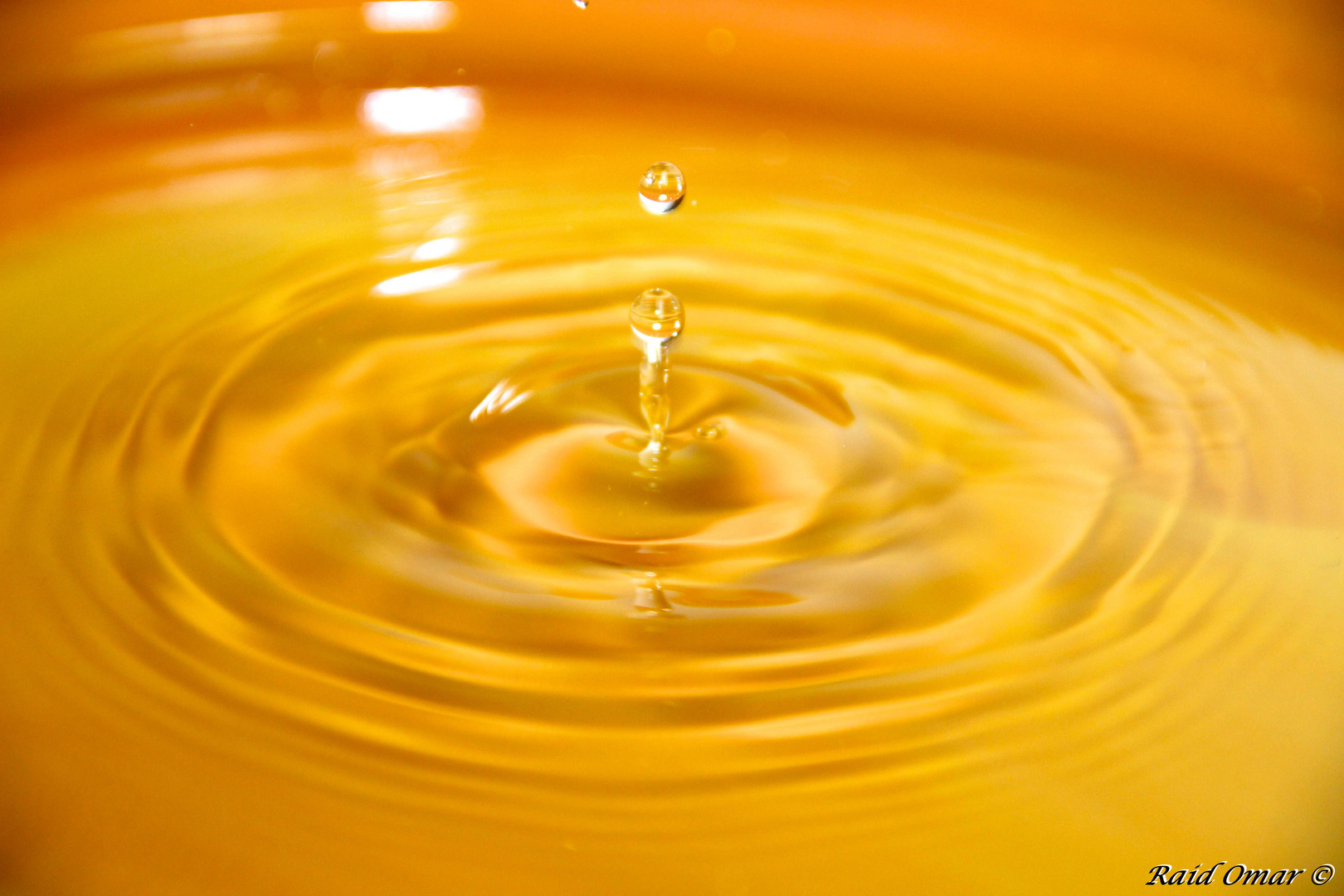 Wassertropfen Foto & Bild | sonstiges, wasser im detail, natur Bilder