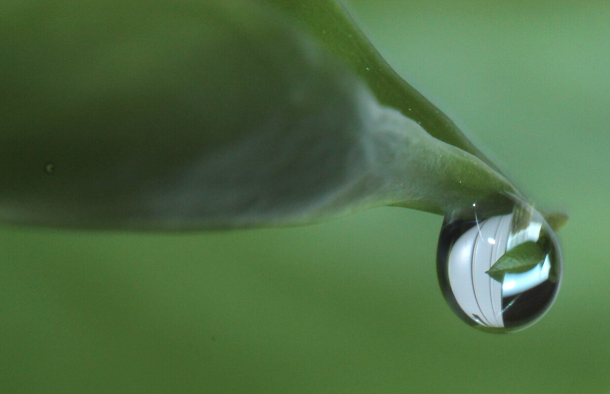 Wassertropfen