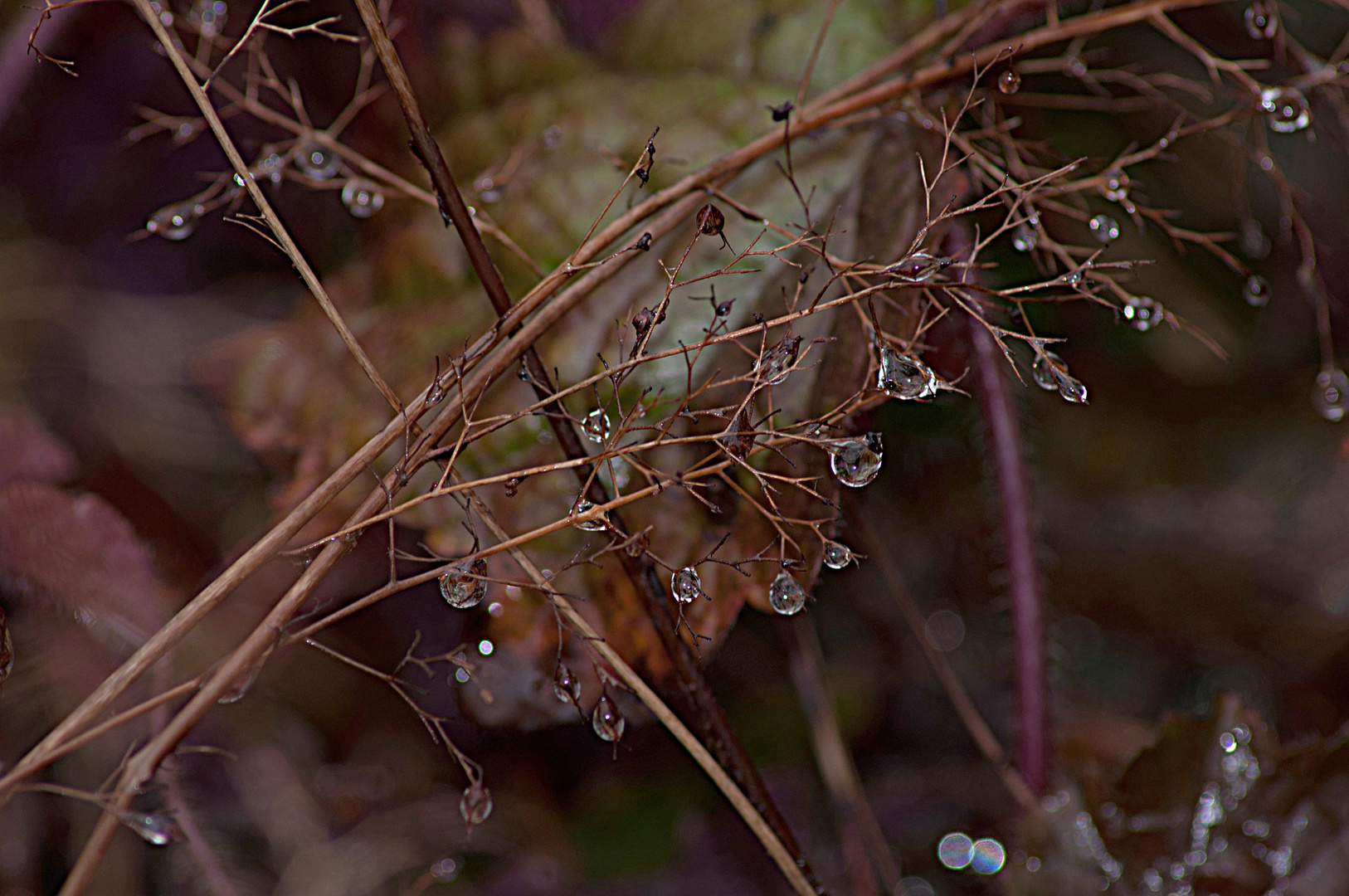 Wassertropfen  