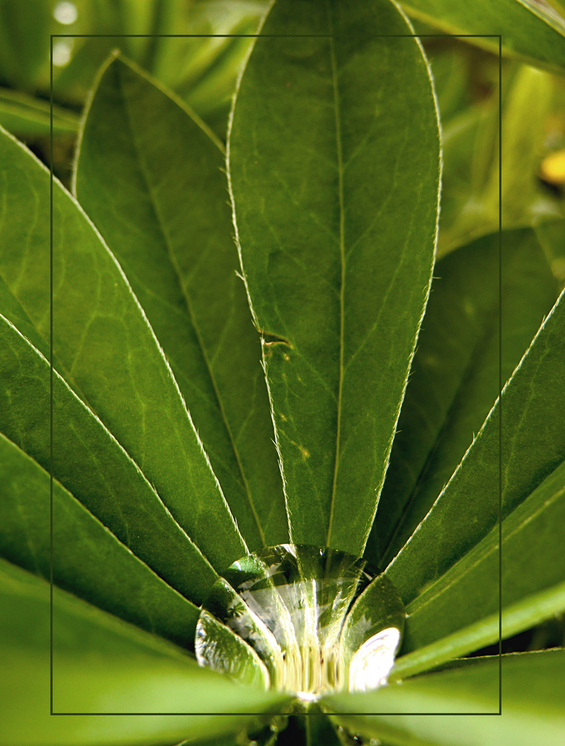 Wassertropfen