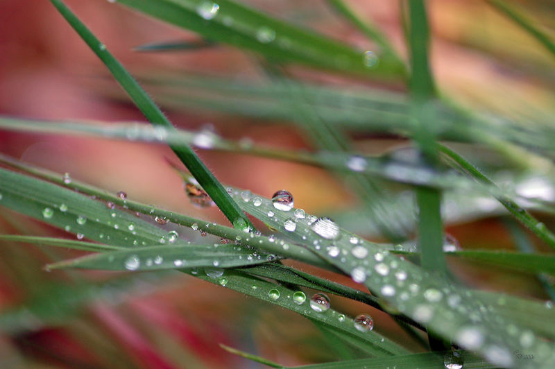 Wassertropfen