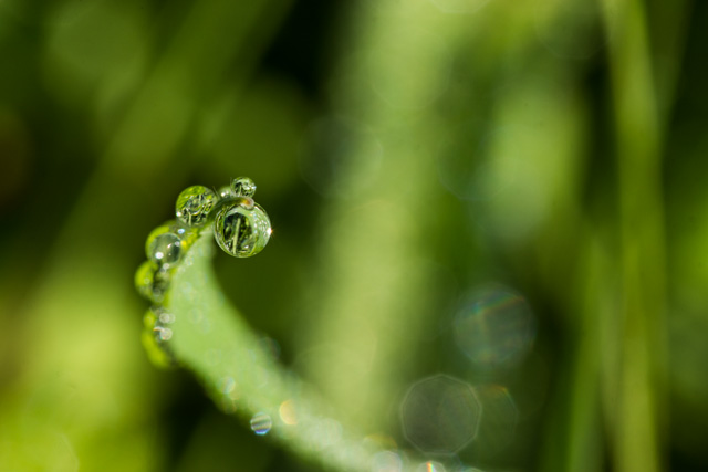 Wassertropfen