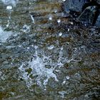 Wassertropfen am Brunnen vor dem Schloss Werningerode / Harz.