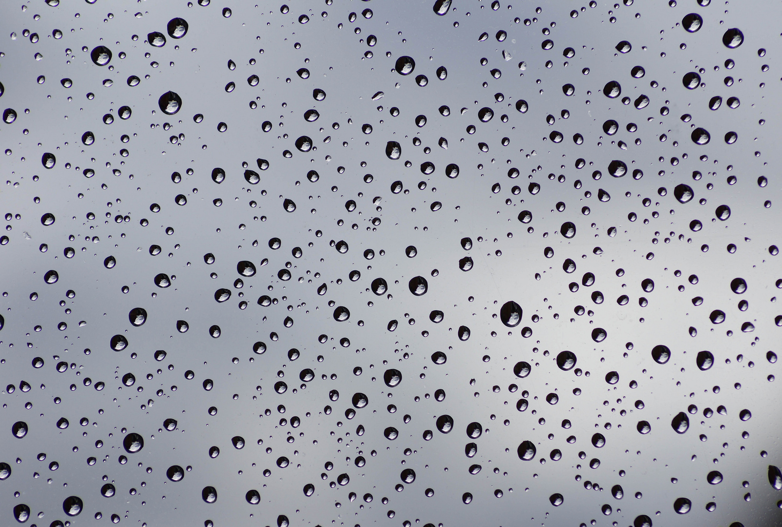 Wassertropfen am Fenster