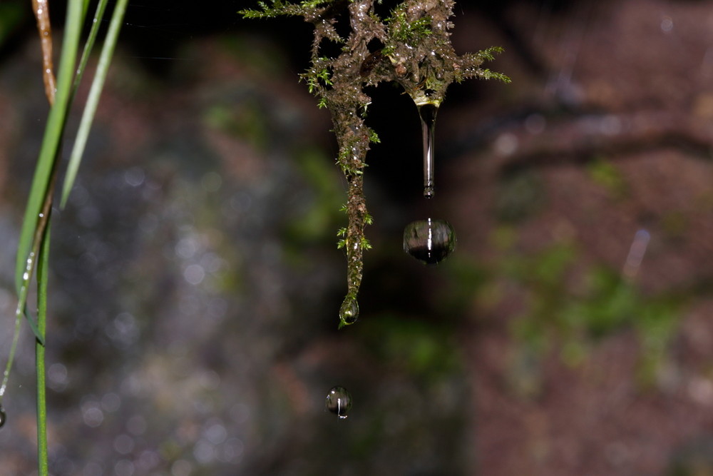 Wassertropfen am Uracher Wasserfall