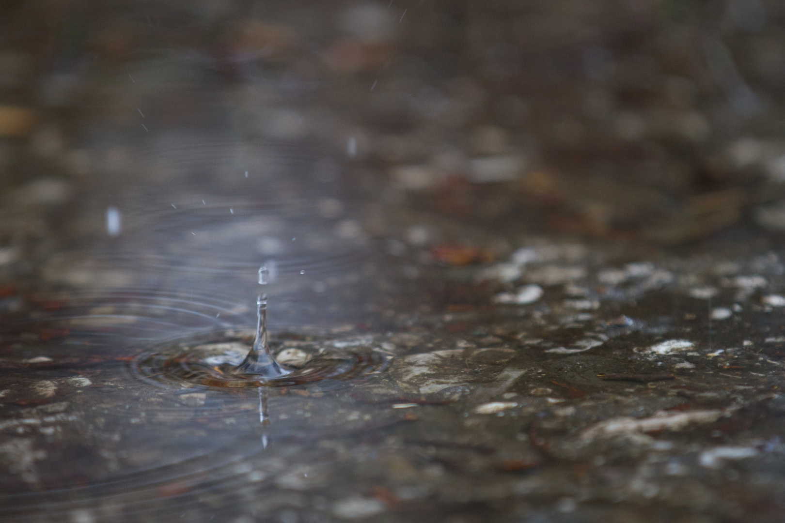 Wassertropfen auf Straße