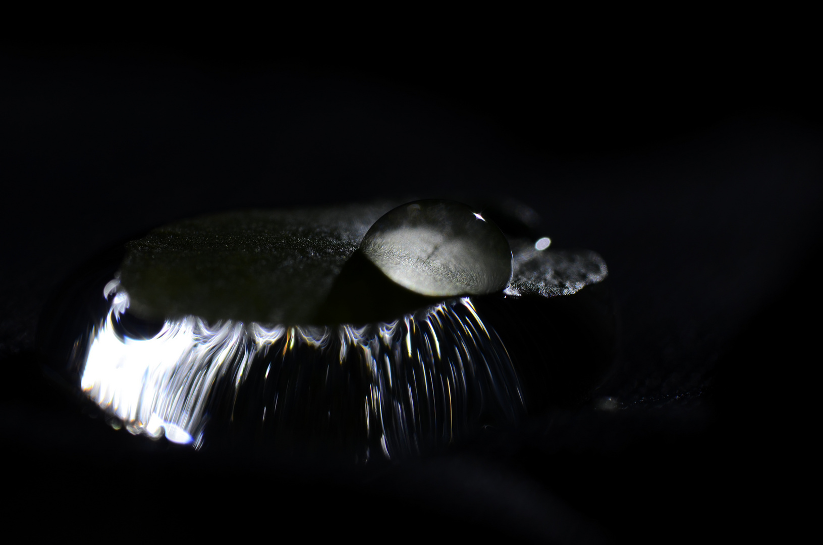 Wassertropfen auf Wassertropfen