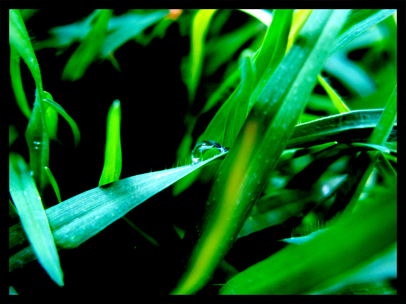 Wassertropfen aus Griechenland