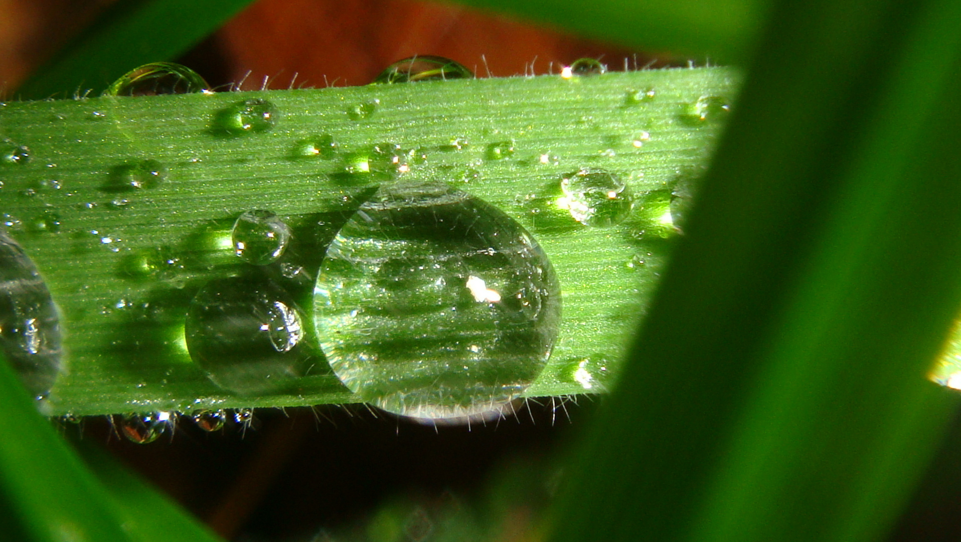 wassertropfen