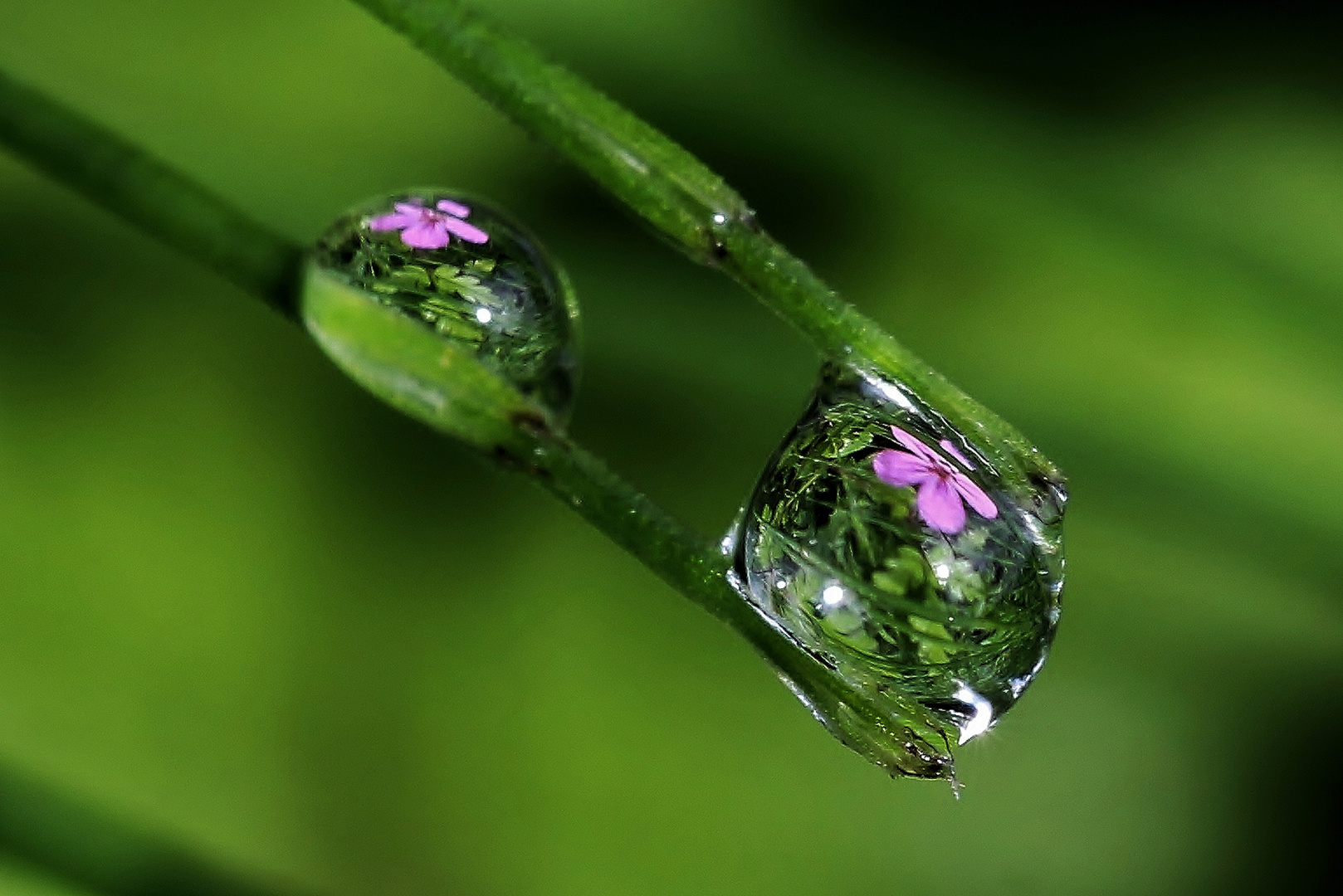 WASSERTROPFEN