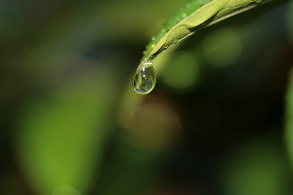 Wassertropfen