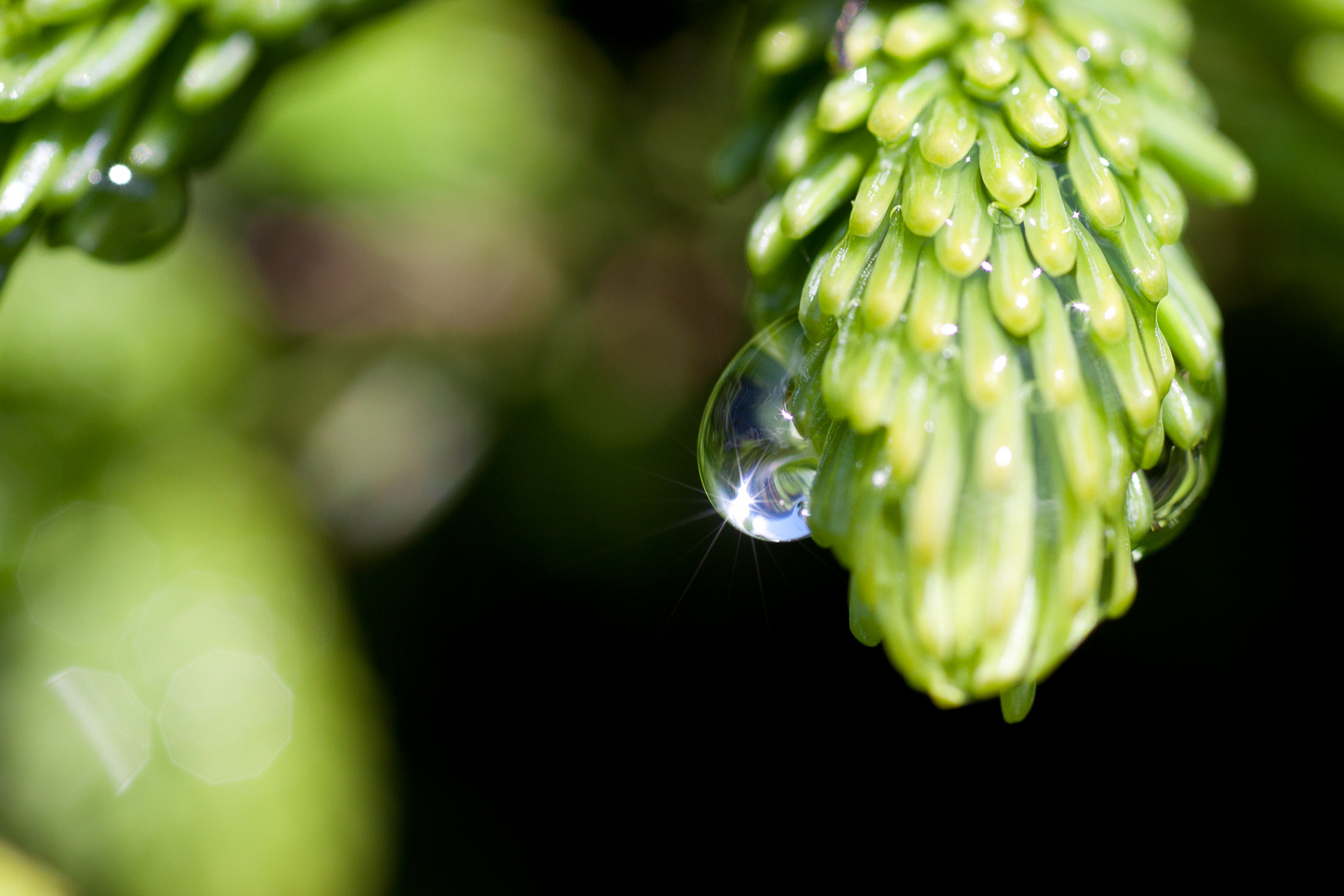 Wassertropfen