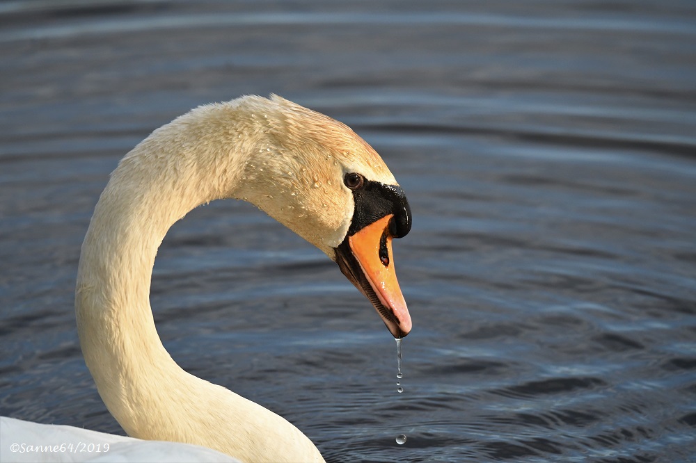 Wassertropfen...