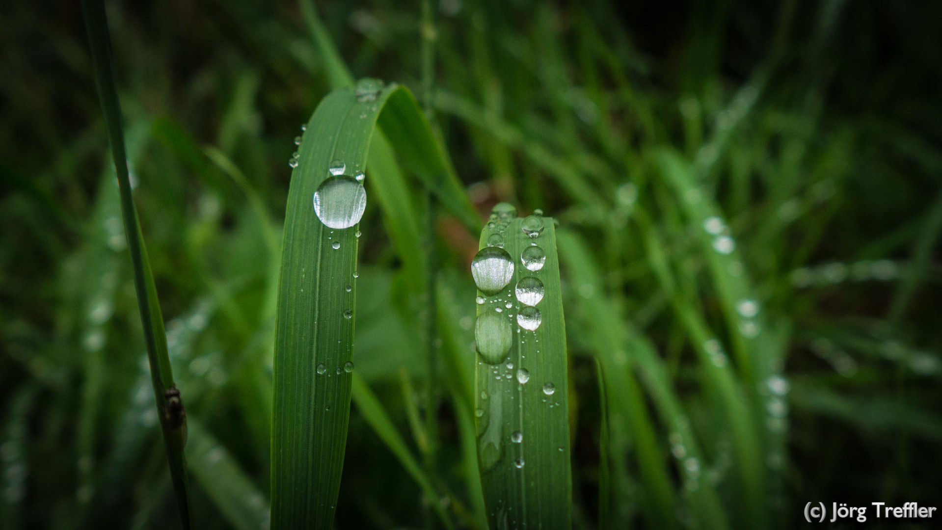 Wassertropfen