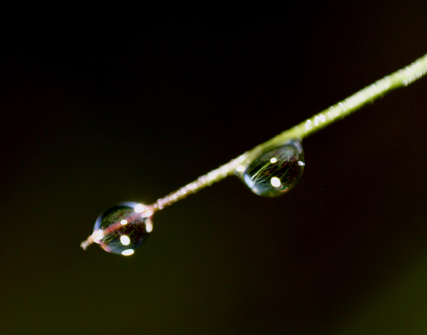 Wassertropfen