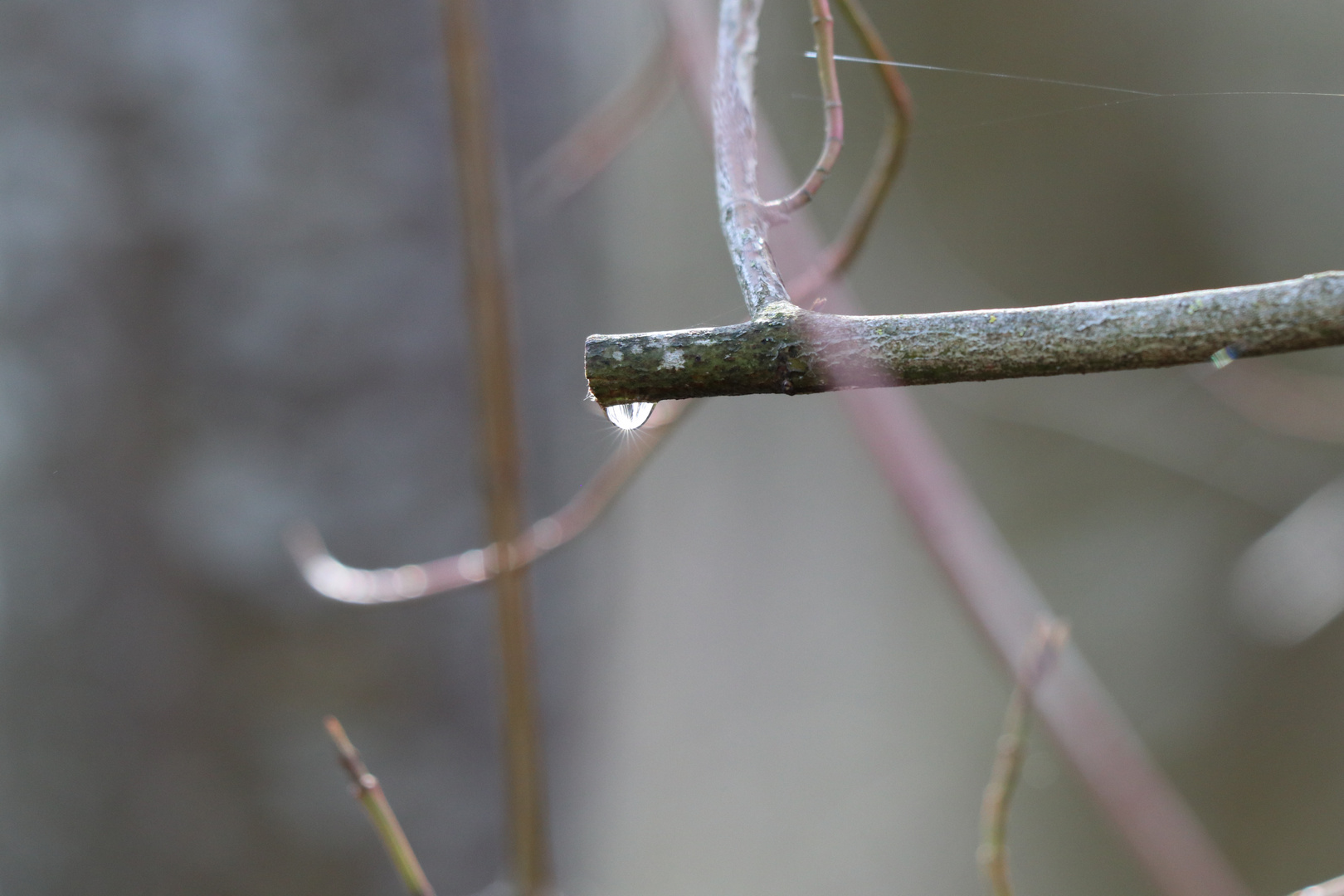 Wassertropfen