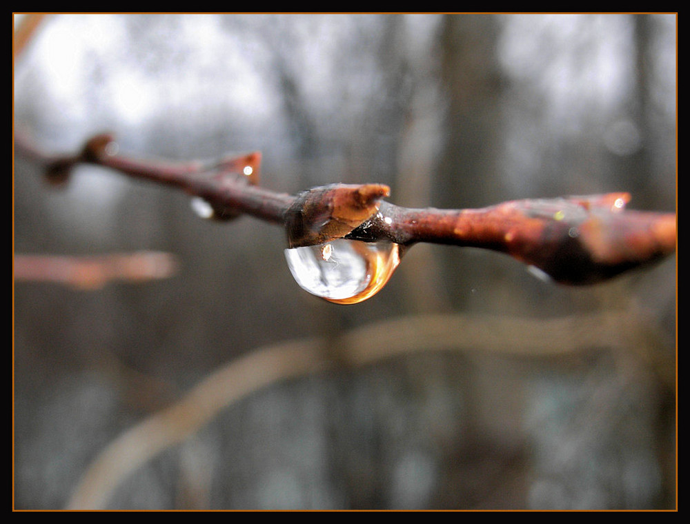 Wassertropfen