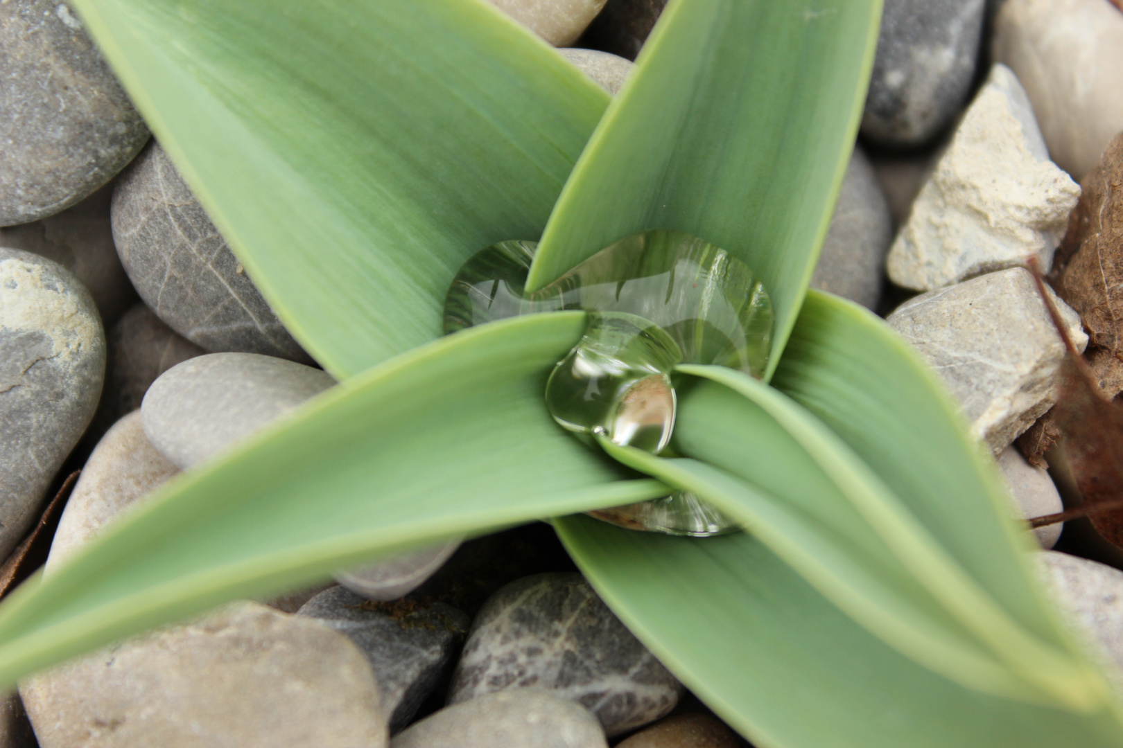 Wassertropfen