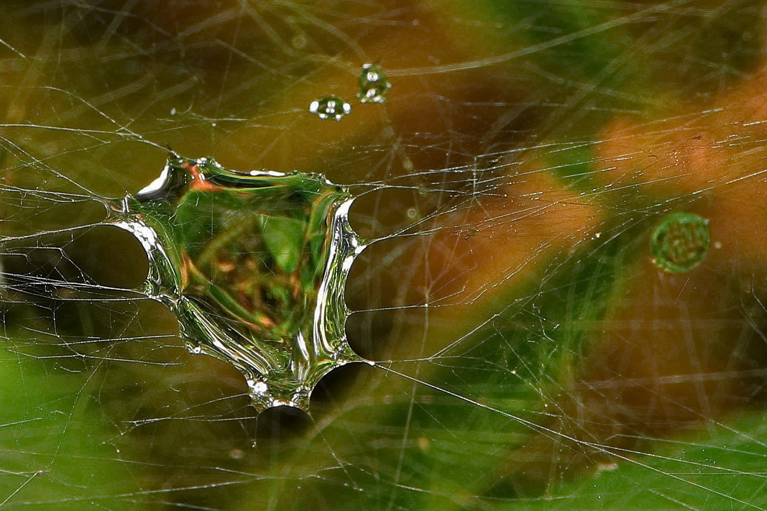 Wassertropfen