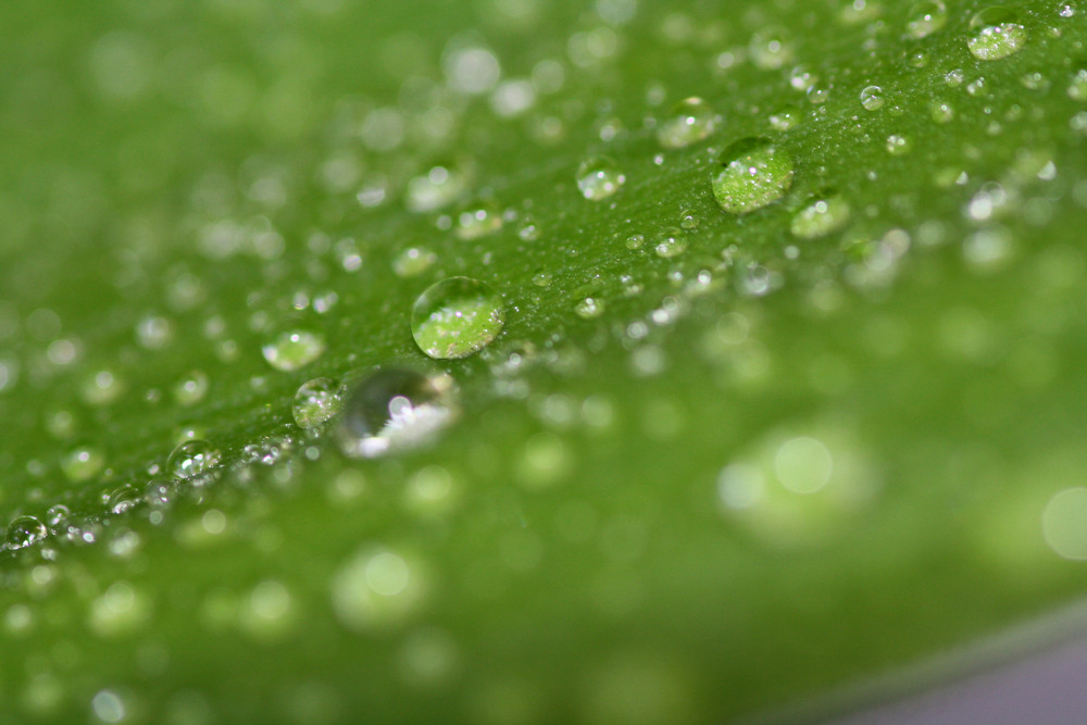 Wassertropfen