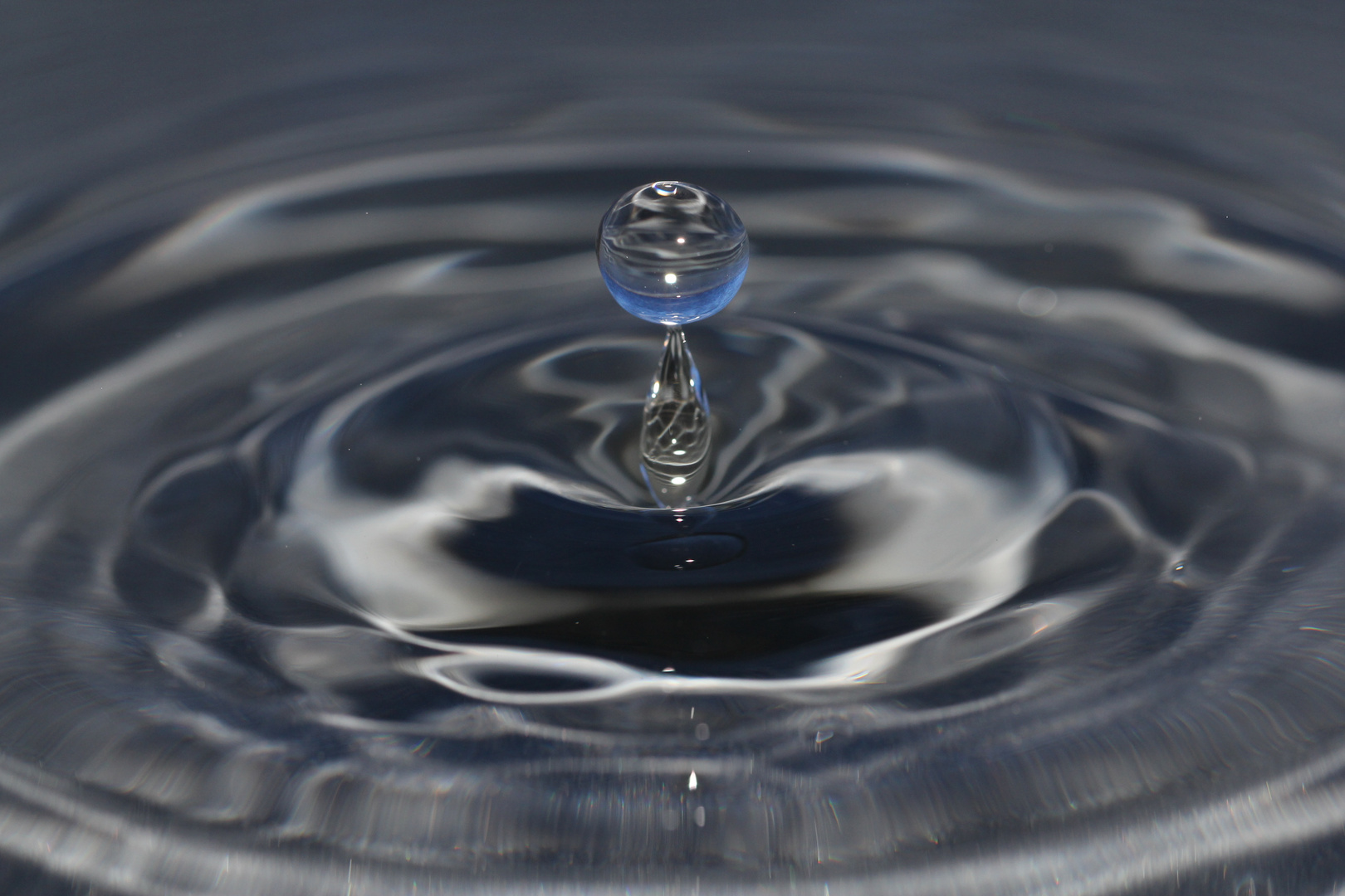 Wassertropfen Foto & Bild | experimente, wasser, tropfen Bilder auf