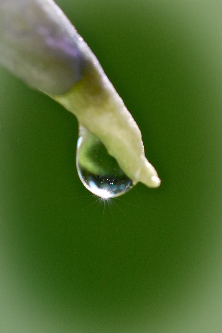 Wassertropfen