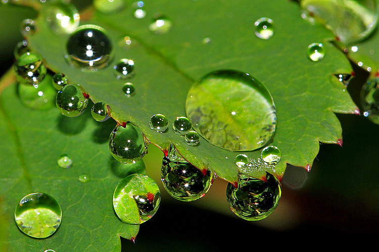 Wassertropfen