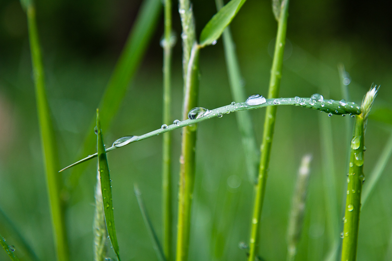 Wassertropfen