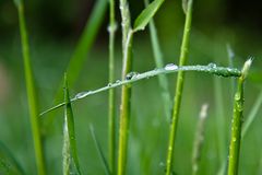 Wassertropfen