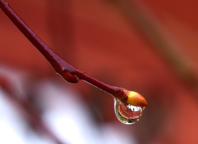 Wassertropfen