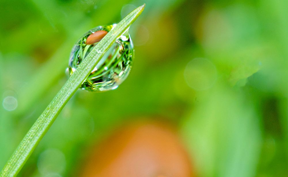 Wassertropfen