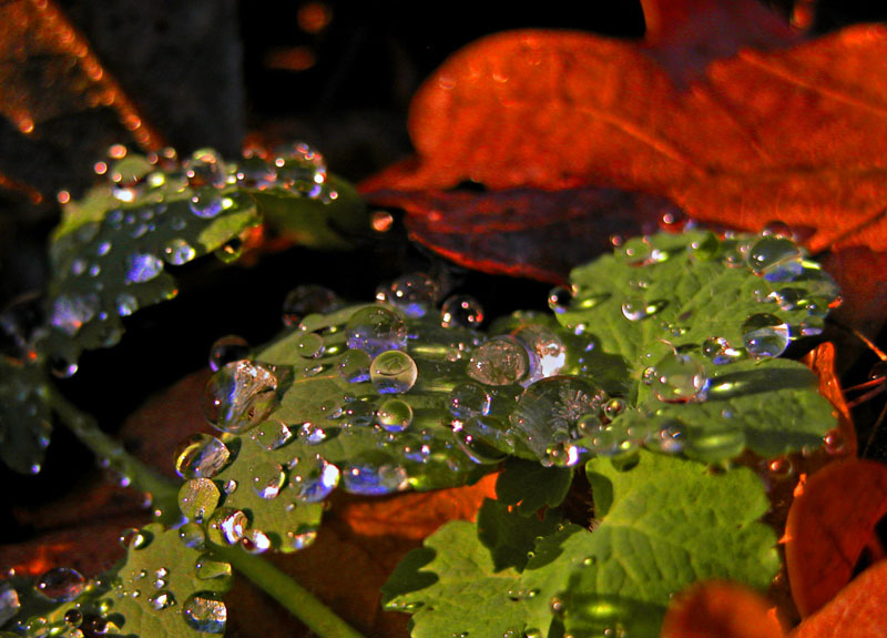 Wassertropfen die 2.