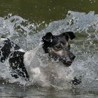 Wassertropfen, die an mein Objektiv tropfen