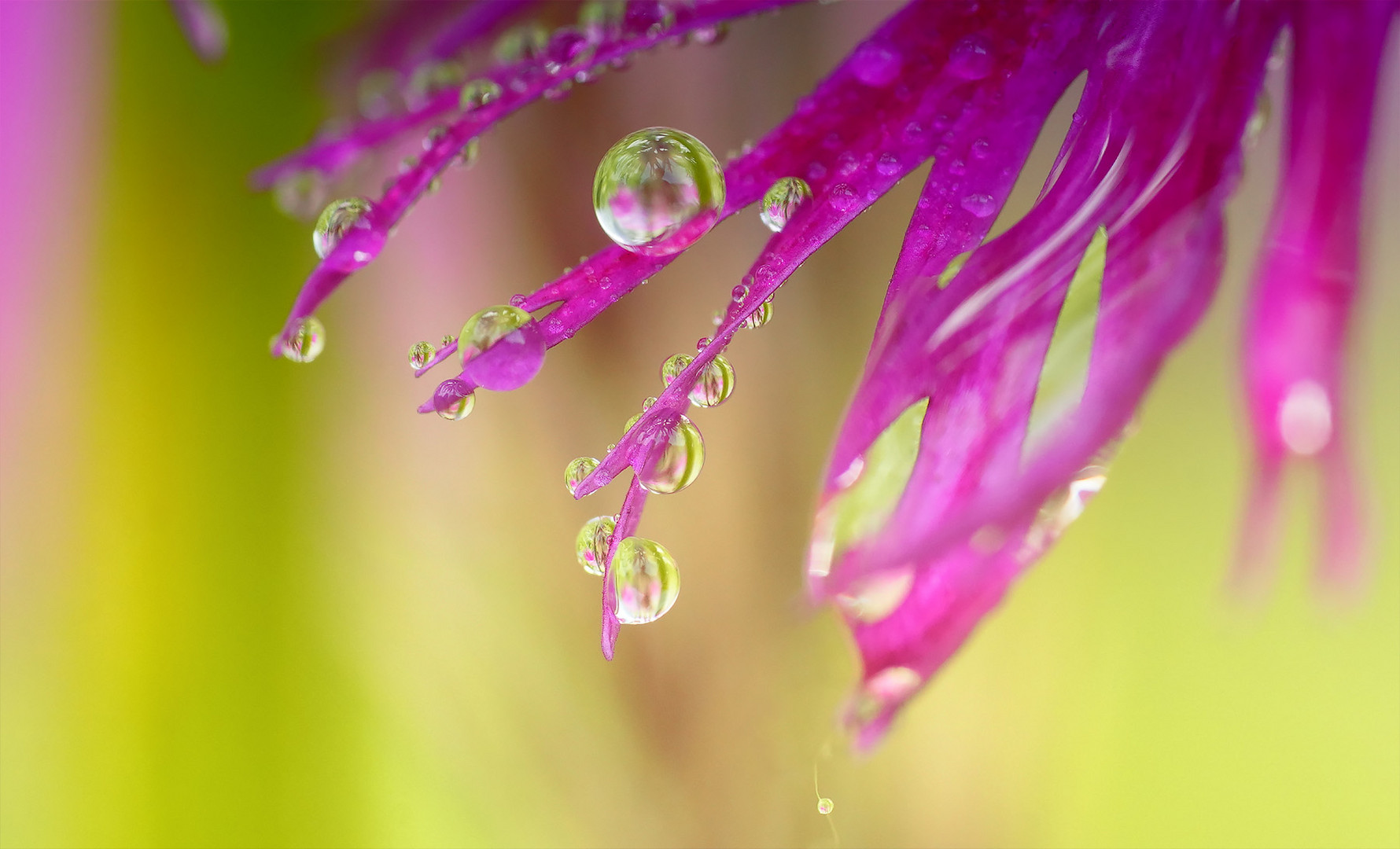 wassertropfen die nicht an dem fenster klopfen ...