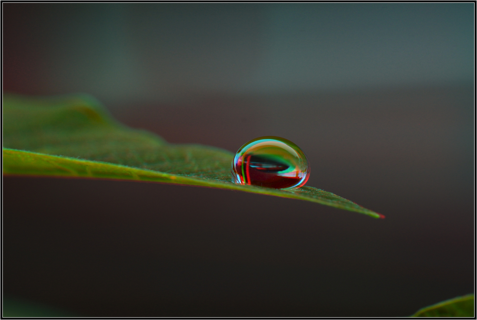 Wassertropfen diesmal in 3D ( Rot/Cyan )