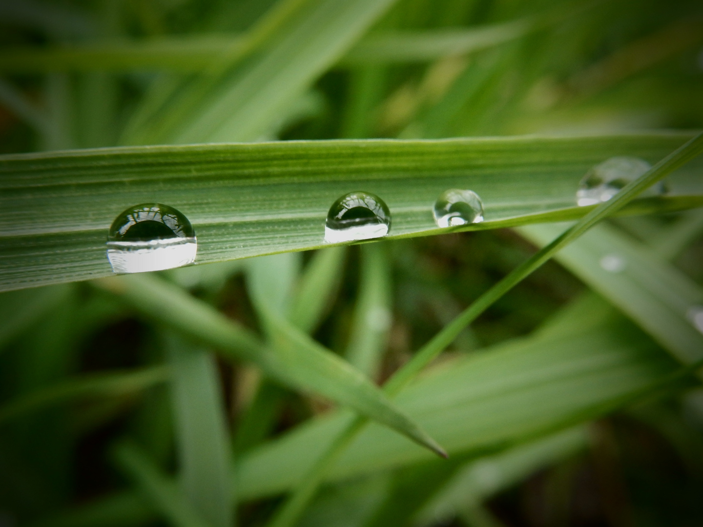 Wassertropfen