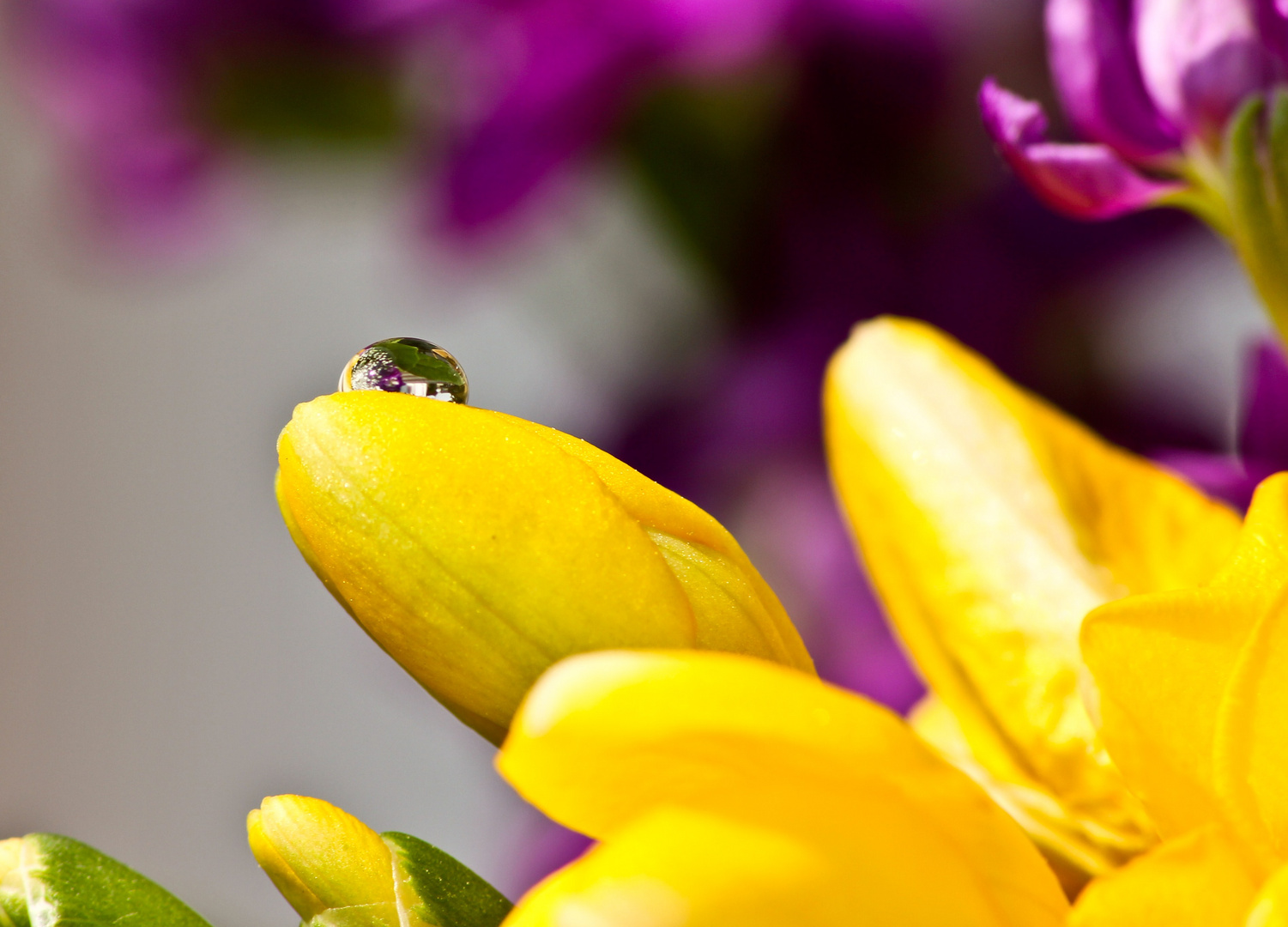 Wassertropfen