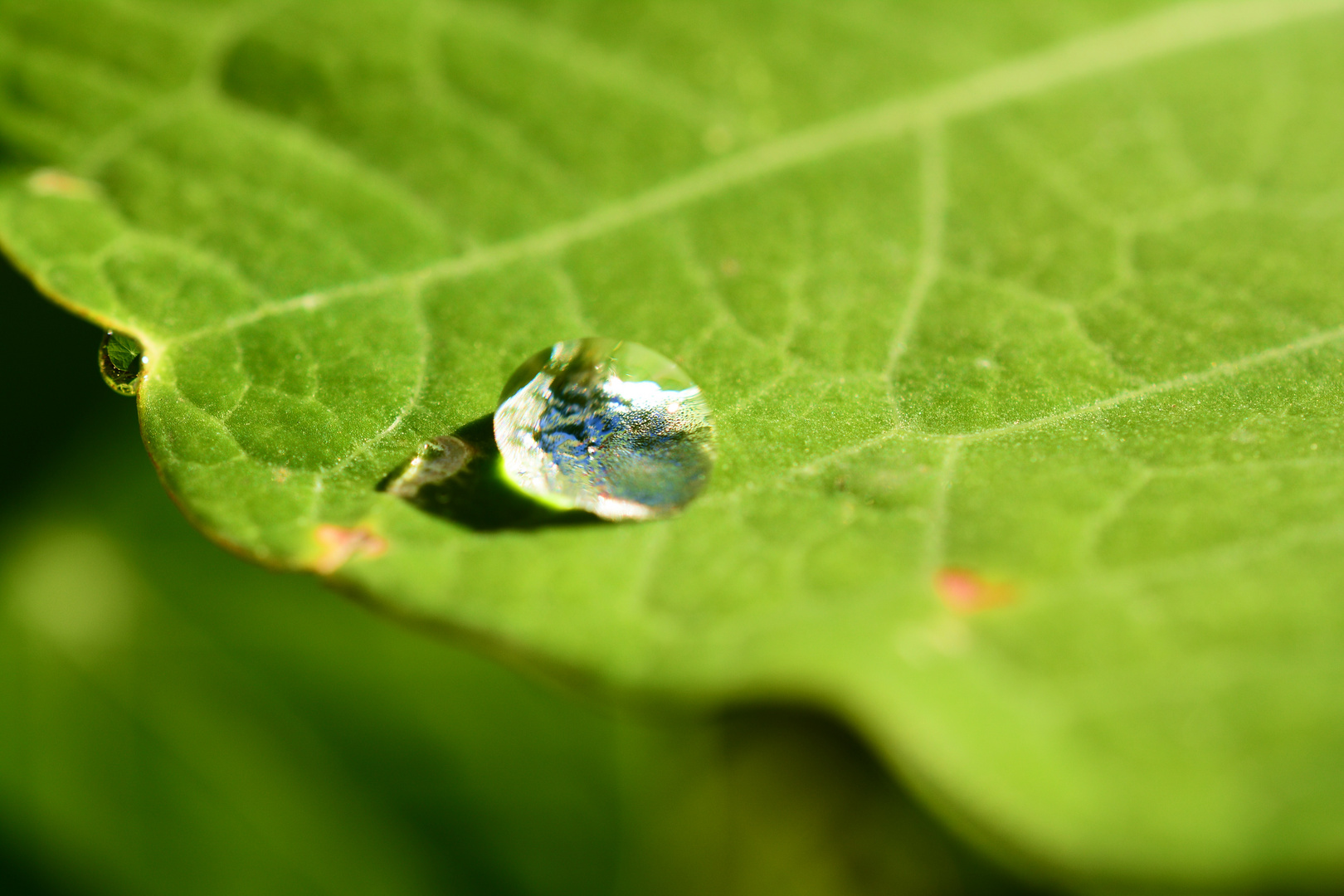 Wassertropfen