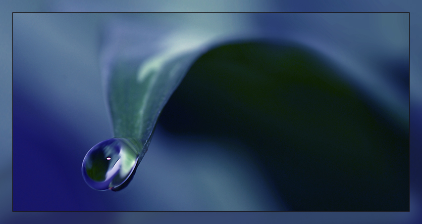 Wassertropfen einsam und allein